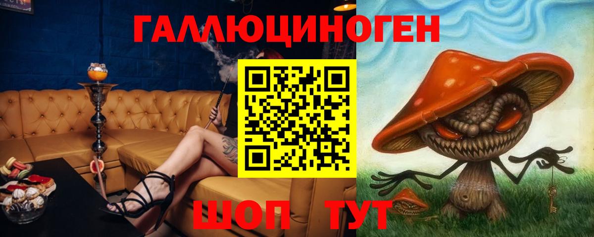 Дербент  Галлюциногенные грибы Cubensis  Вход с VPN 